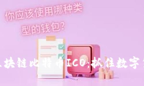透徹解析區(qū)塊鏈比特幣ICO：抓住數(shù)字貨幣的機(jī)遇