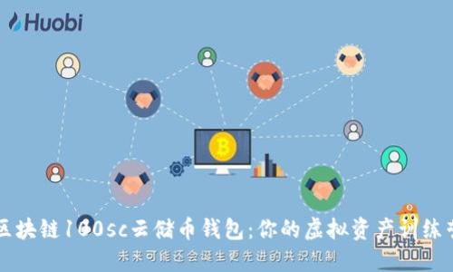 區(qū)塊鏈100sc云儲(chǔ)幣錢包：你的虛擬資產(chǎn)訓(xùn)練營(yíng)