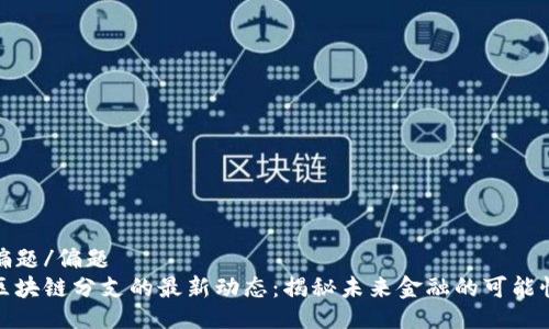 偏題/偏題
區(qū)塊鏈分支的最新動(dòng)態(tài)：揭秘未來金融的可能性