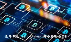 麥子錢包 vs imToken：哪個(gè)更適合你？