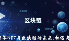 2023年NFT與區(qū)塊鏈的未來：機(jī)遇與挑戰(zhàn)