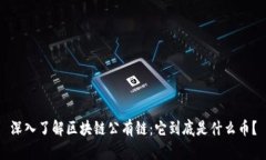 深入了解區(qū)塊鏈公有鏈：它到底是什么幣？