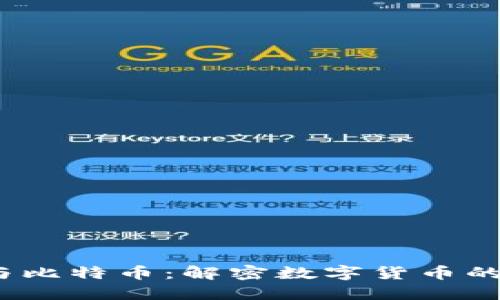  區(qū)塊鏈與比特幣：解密數(shù)字貨幣的未來之路