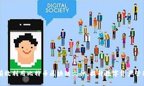 如何有效利用比特幣區(qū)塊鏈文件，提升數(shù)字資產(chǎn)管理能力