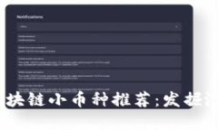2023年最新區(qū)塊鏈小幣種推薦：發(fā)掘潛力與投資機
