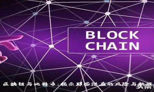 區(qū)塊鏈與比特幣：揭示那些潛在的風(fēng)險(xiǎn)與挑戰(zhàn)