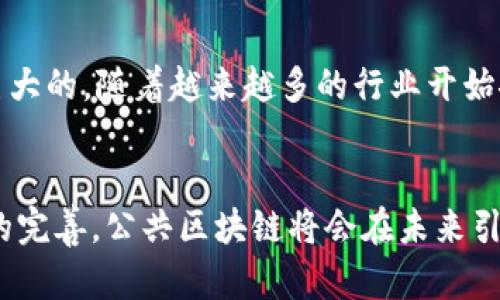 比特幣使用的區(qū)塊鏈屬于“公共區(qū)塊鏈”，也稱為“開放式區(qū)塊鏈”。這種類型的區(qū)塊鏈?zhǔn)峭耆_放的，任何人都可以參與網(wǎng)絡(luò)，驗(yàn)證交易和在區(qū)塊鏈上添加新的區(qū)塊。以下將從幾個方面詳細(xì)介紹比特幣的公共區(qū)塊鏈及其特點(diǎn)。

公共區(qū)塊鏈的基本概念
公共區(qū)塊鏈?zhǔn)欠植际劫~本技術(shù)的一種，它允許參與者在沒有中心化控制的情況下進(jìn)行交易。比特幣作為第一個成功應(yīng)用區(qū)塊鏈技術(shù)的數(shù)字貨幣，使用這種公共區(qū)塊鏈來記錄和確認(rèn)交易。每個交易都經(jīng)過網(wǎng)絡(luò)中各個節(jié)點(diǎn)的驗(yàn)證，確保交易的真實(shí)性和不可篡改性。

去中心化與安全性
比特幣的公共區(qū)塊鏈?zhǔn)侨ブ行幕模@意味著沒有單一的實(shí)體或機(jī)構(gòu)控制該網(wǎng)絡(luò)。去中心化帶來了高度的安全性，因?yàn)楣粽弑仨毻瑫r(shí)控制網(wǎng)絡(luò)的大部分節(jié)點(diǎn)才能發(fā)起攻擊。此外，交易在區(qū)塊鏈上是不可更改的，一旦記錄，任何人都不能修改或刪除，這為用戶提供了極大的信任感。

透明性與隱私
盡管公共區(qū)塊鏈?zhǔn)峭该鞯?，任何人都可以查看交易記錄，但它并不會泄露用戶的個人信息。比特幣交易是通過公鑰和私鑰進(jìn)行確認(rèn)的，用戶的身份信息是高度匿名的。因此，在享受透明性的同時(shí)，用戶的隱私也得到了保護(hù)。

智能合約與擴(kuò)展性
雖然比特幣的主要功能是作為一種數(shù)字貨幣，但公共區(qū)塊鏈的概念也為智能合約的實(shí)現(xiàn)提供了基礎(chǔ)。例如，以太坊就是在公共區(qū)塊鏈的基礎(chǔ)上，增加了智能合約的功能，允許用戶自動執(zhí)行合約條款。比特幣的公共區(qū)塊鏈在擴(kuò)展性方面也面臨挑戰(zhàn)，隨著用戶數(shù)量的增加，交易擁堵的問題逐漸顯現(xiàn)。

比特幣的應(yīng)用與未來
比特幣的公共區(qū)塊鏈不僅可以用于貨幣交易，還可以擴(kuò)展到其他領(lǐng)域，如供應(yīng)鏈管理、身份驗(yàn)證和投票系統(tǒng)等。這種技術(shù)的潛力是巨大的，隨著越來越多的行業(yè)開始探索區(qū)塊鏈的應(yīng)用，公共區(qū)塊鏈將扮演越來越重要的角色。

總結(jié)
比特幣使用的公共區(qū)塊鏈代表了去中心化金融的一種新形態(tài)，推動了數(shù)字貨幣和區(qū)塊鏈技術(shù)的發(fā)展。隨著技術(shù)的進(jìn)步和相關(guān)法規(guī)的完善，公共區(qū)塊鏈將會在未來引領(lǐng)更多行業(yè)的變革。