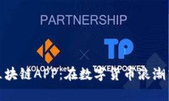 探索火幣區(qū)塊鏈APP：在數(shù)字貨幣浪潮中穩(wěn)健前行