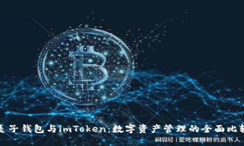 麥子錢包與imToken：數(shù)字資產(chǎn)管理的全面比較
