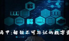 區(qū)塊鏈馬甲：解鎖不可思議的數(shù)字資產(chǎn)世界