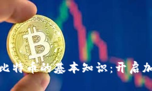 探索區(qū)塊鏈和比特幣的基本知識(shí)：開啟加密貨幣的世界