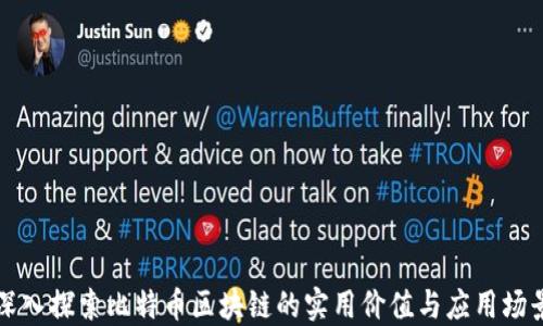 
深入探索比特幣區(qū)塊鏈的實用價值與應用場景