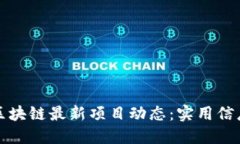 全面掌握區(qū)塊鏈最新項(xiàng)目動(dòng)態(tài)：實(shí)用信息查詢指