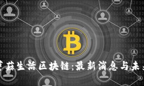 探索蘑菇生活區(qū)塊鏈：最新消息與未來前景