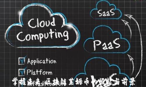 
掌握未來(lái)：區(qū)塊鏈萊姆幣的崛起與前景