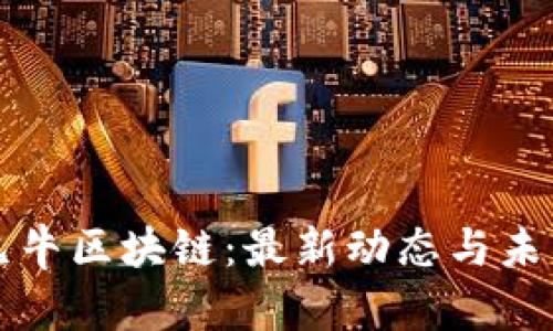 探索九牛區(qū)塊鏈：最新動(dòng)態(tài)與未來展望