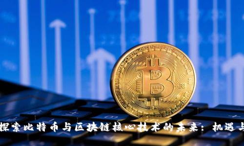深入探索比特幣與區(qū)塊鏈核心技術(shù)的未來: 機遇與挑戰(zhàn)