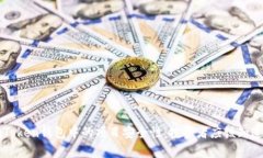 探討imToken錢包中的項(xiàng)目安全性：投資者應(yīng)該知道