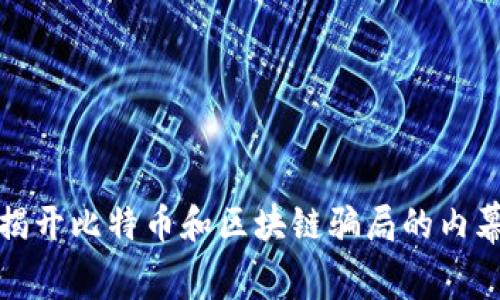 揭開比特幣和區(qū)塊鏈騙局的內幕