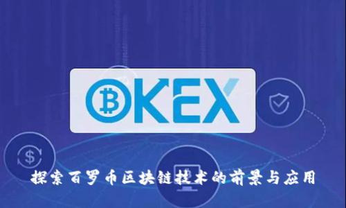 探索百羅幣區(qū)塊鏈技術(shù)的前景與應(yīng)用