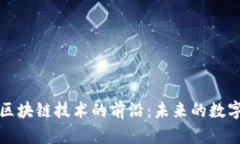 探索最新區(qū)塊鏈技術(shù)的前沿：未來的數(shù)字資產(chǎn)變