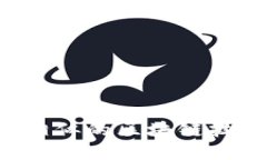 探索與比特幣相似的區(qū)塊鏈技術(shù)：現(xiàn)狀與未來