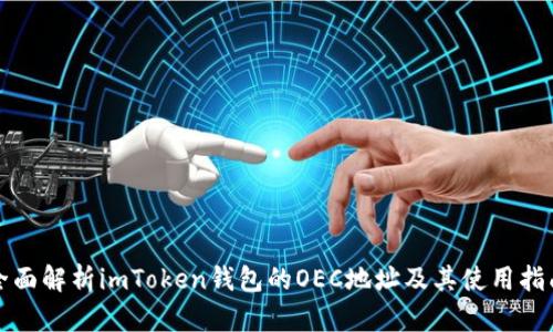 全面解析imToken錢包的OEC地址及其使用指南
