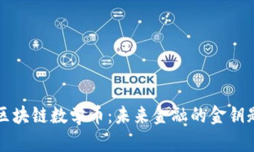 區(qū)塊鏈數(shù)學(xué)幣：未來金融的金鑰匙