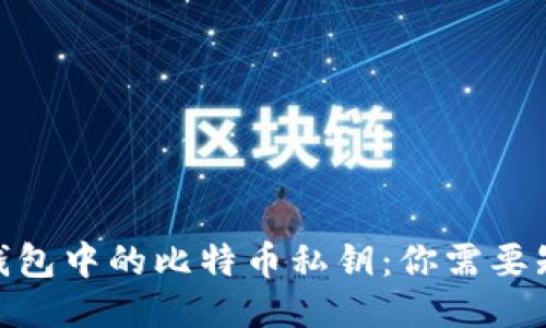 imToken錢包中的比特幣私鑰：你需要知道的一切