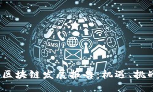 與關(guān)鍵詞

2023年美國區(qū)塊鏈發(fā)展報告：機遇、挑戰(zhàn)與未來趨勢