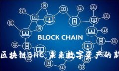 揭秘區(qū)塊鏈BHC：未來數(shù)字資產(chǎn)的新風(fēng)口