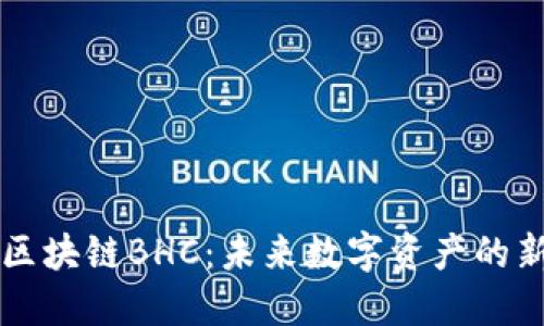 揭秘區(qū)塊鏈BHC：未來數(shù)字資產(chǎn)的新風(fēng)口