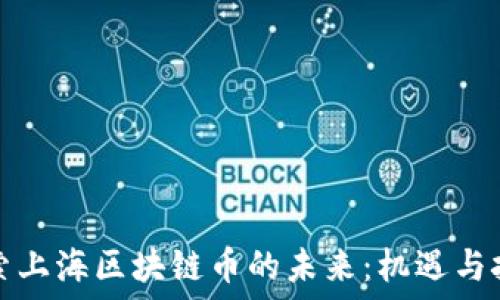   
探索上海區(qū)塊鏈幣的未來(lái)：機(jī)遇與挑戰(zhàn)