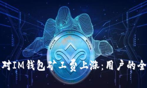 如何應(yīng)對(duì)IM錢包礦工費(fèi)上漲：用戶的全面指南
