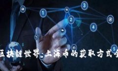 探索區(qū)塊鏈?zhǔn)澜纾荷虾诺墨@取方式全解析