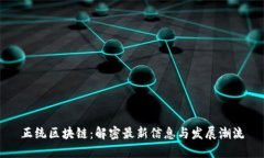 正統(tǒng)區(qū)塊鏈：解密最新信息與發(fā)展潮流