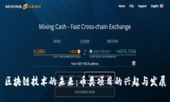 區(qū)塊鏈技術(shù)的未來(lái)：幣類項(xiàng)目的興起與發(fā)展