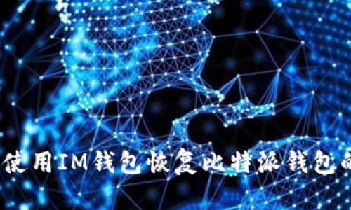: 如何使用IM錢(qián)包恢復(fù)比特派錢(qián)包的資產(chǎn)？