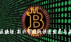 東南亞區(qū)塊鏈：新興市場的快速發(fā)展與未來趨勢