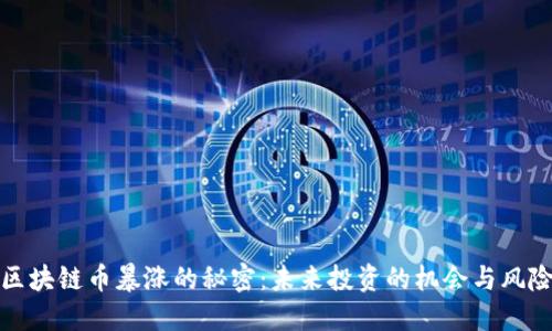 區(qū)塊鏈幣暴漲的秘密：未來投資的機會與風(fēng)險
