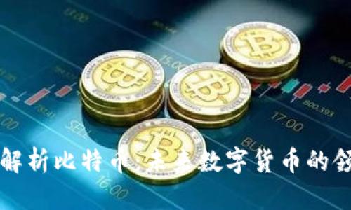深入解析比特幣：未來數(shù)字貨幣的領(lǐng)軍者