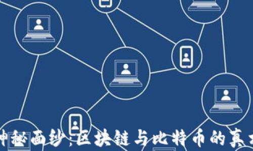 
揭開神秘面紗：區(qū)塊鏈與比特幣的真相探索