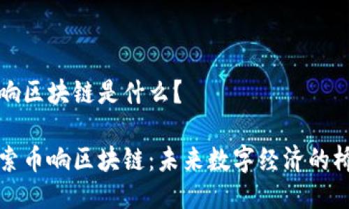 幣響區(qū)塊鏈?zhǔn)鞘裁矗?
探索幣響區(qū)塊鏈：未來數(shù)字經(jīng)濟(jì)的橋梁