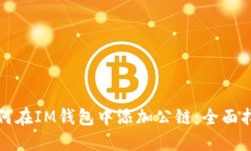 如何在IM錢包中添加公鏈：全面指南
