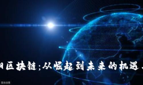 十連陽(yáng)區(qū)塊鏈：從崛起到未來(lái)的機(jī)遇與挑戰(zhàn)