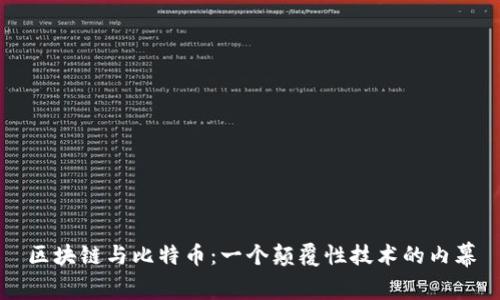 區(qū)塊鏈與比特幣：一個(gè)顛覆性技術(shù)的內(nèi)幕