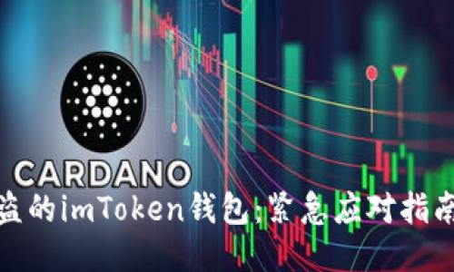 如何處理被盜的imToken錢(qián)包：緊急應(yīng)對(duì)指南與預(yù)防措施