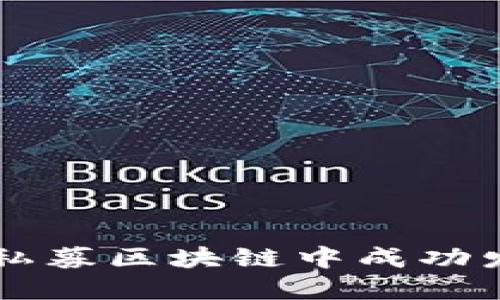 如何在私募區(qū)塊鏈中成功發(fā)行代幣