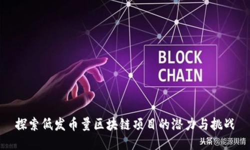 探索低發(fā)幣量區(qū)塊鏈項目的潛力與挑戰(zhàn)