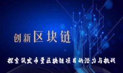 探索低發(fā)幣量區(qū)塊鏈項目的潛力與挑戰(zhàn)